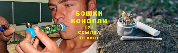 ALPHA PVP Белокуриха