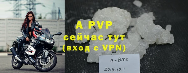 ECSTASY Белоозёрский