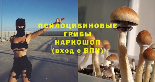 a pvp Беломорск