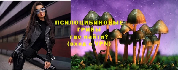 ECSTASY Белоозёрский