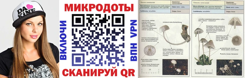 гидра tor  закладки  Ворсма  Галлюциногенные грибы прущие грибы 