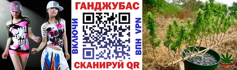 как найти наркотики  Ворсма  Конопля тримм 